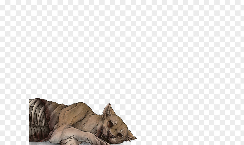 Cat Lion Canidae Dog Fur PNG