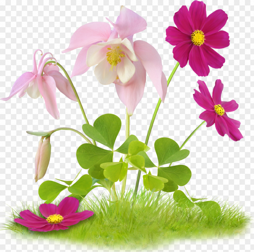 Green Flower Easter Clip Art PNG