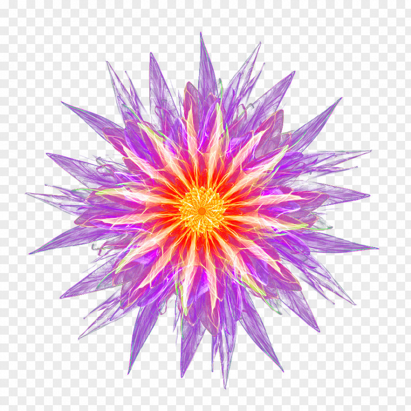 Hand-painted Light Effect Flower Effects Purple PNG