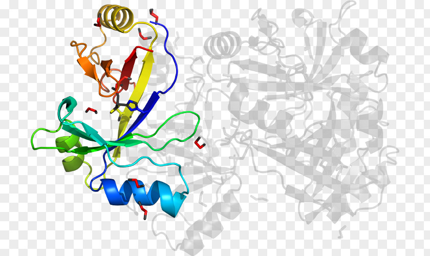 Methylmalonylcoa Clip Art Illustration Graphic Design Cartoon Product PNG