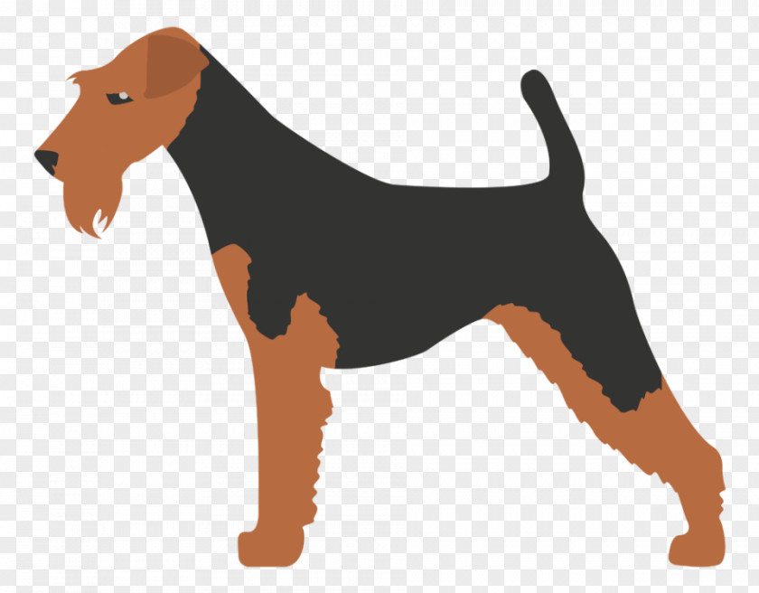 Perro De Raza Mixta Pointer Bedlington Terrier Wirehaired Pointing Griffon Kerry Blue Dog Breed PNG