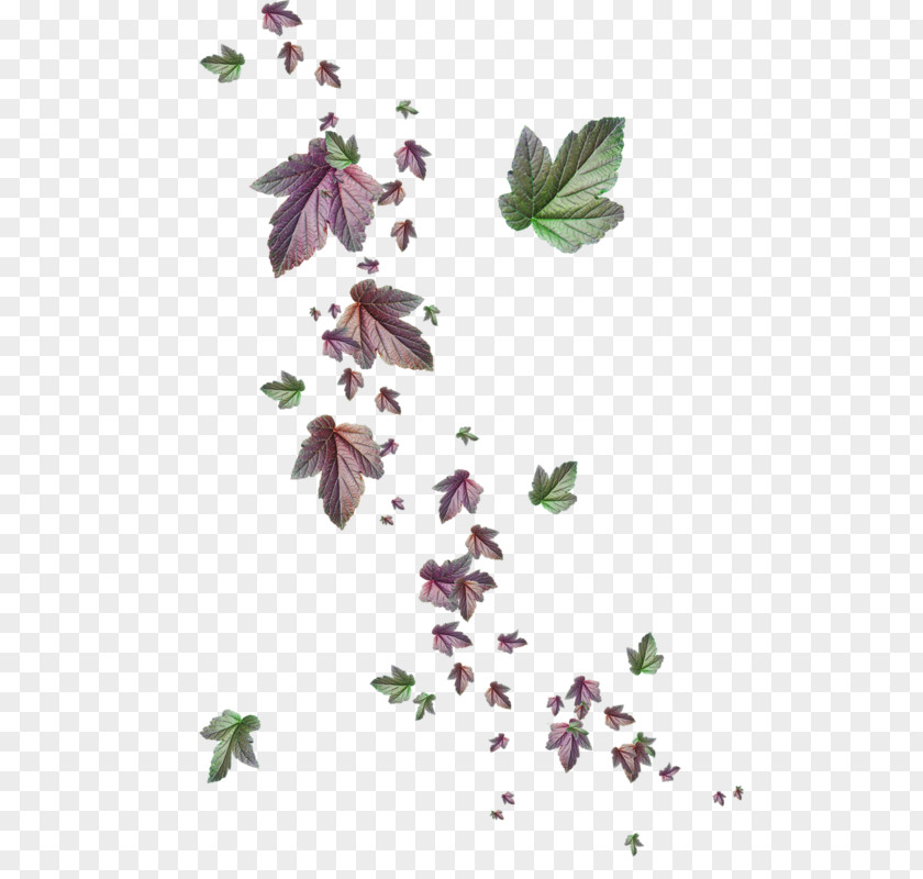 Магия зимы Petal Leaf Vinegar Valentines Plant Stem PNG