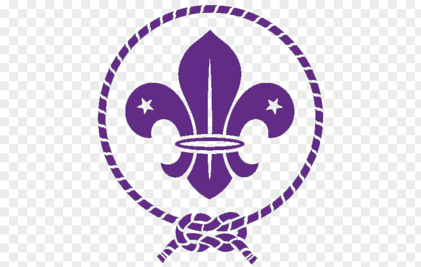 Timur Laut Hitam World Scout Emblem Scouting Organization Of The Movement Boy Scouts America PNG