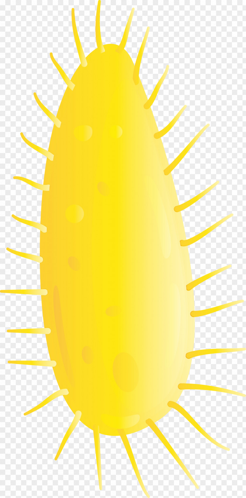 Yellow Plant PNG