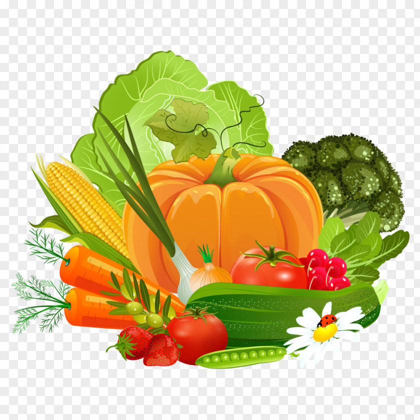 Corn Vegetable Tomato Pumpkin Allium Fistulosum PNG