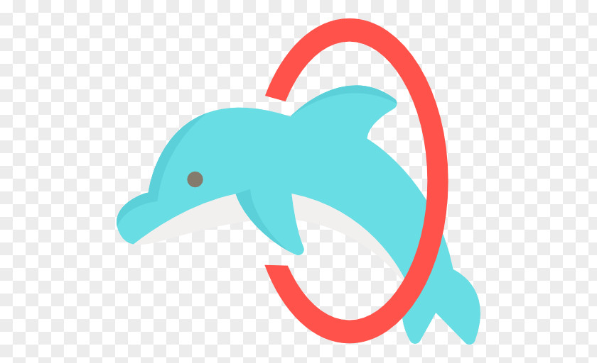 Elfin Vector Common Bottlenose Dolphin Angle Beak Clip Art PNG