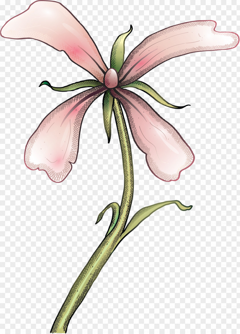 Flower Cut Flowers Floral Design Petal Clip Art PNG