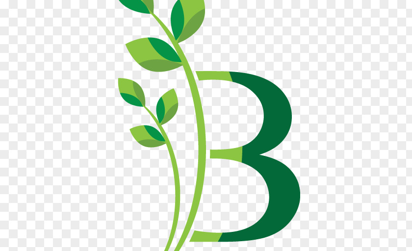 Leaf Clip Art Plant Stem Brand Flower PNG