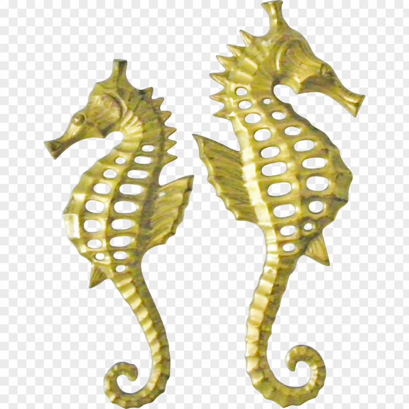 Seahorse Lined Syngnathiformes Hippocampus Bleekeri Fish Commemorative Plaque PNG