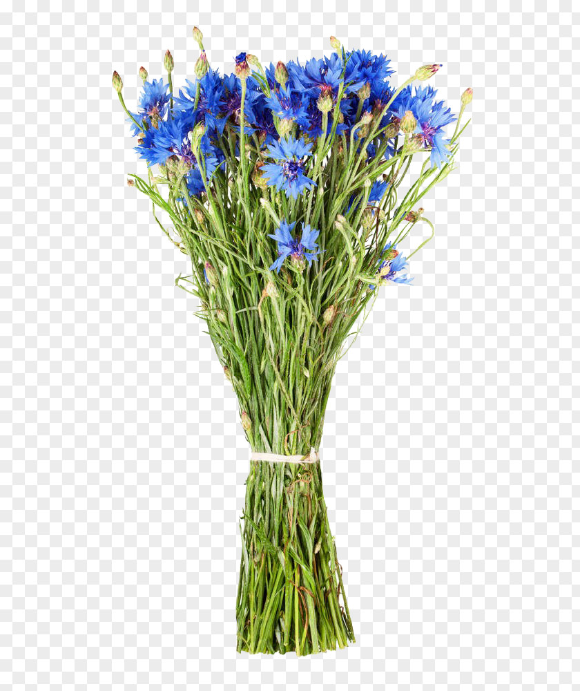 The Cornflower Bouquets Are Free Of Charge Floral Design Flower Bouquet PNG
