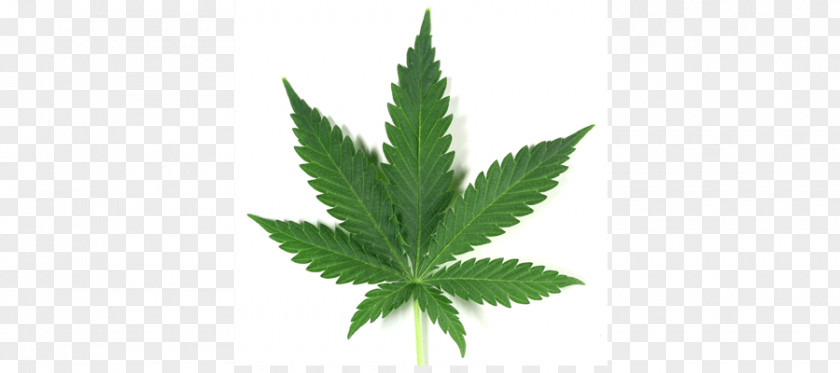 United States Medical Cannabis Drug Smoking PNG