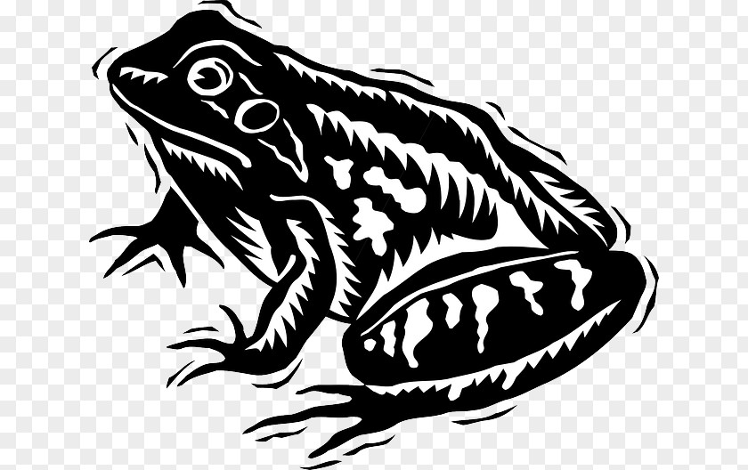 Amphibian Tree Frog Black And White Clip Art PNG