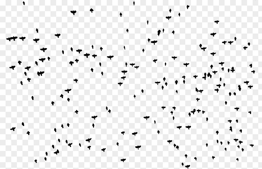 Bird Flock Clip Art PNG