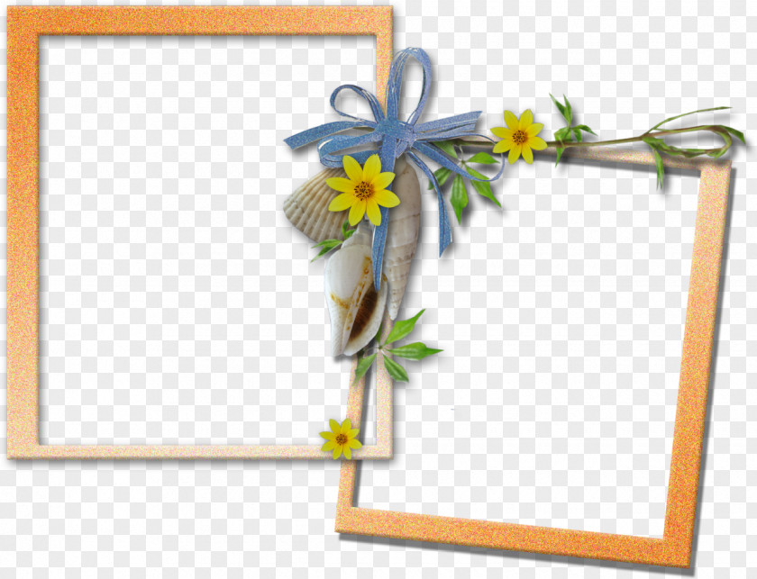 Dauble Background Picture Frames Moldura Verde Image Clip Art PNG