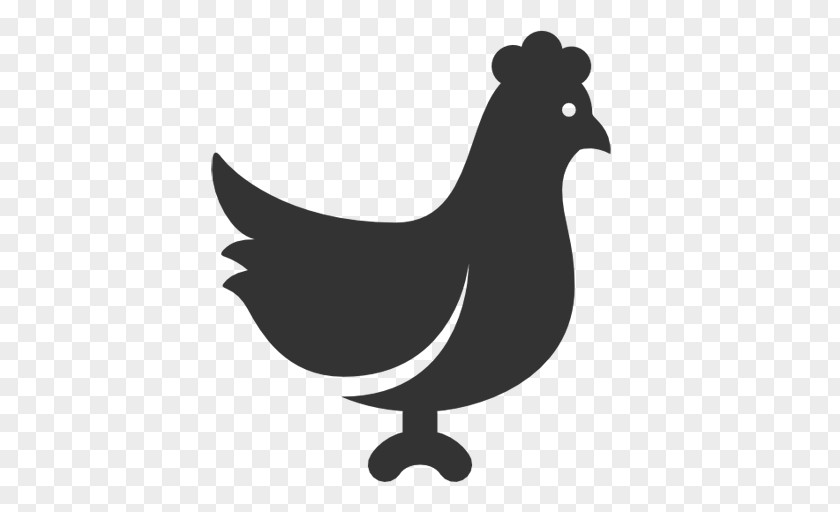 Icon Chicken Symbol Silkie Orange Meat PNG