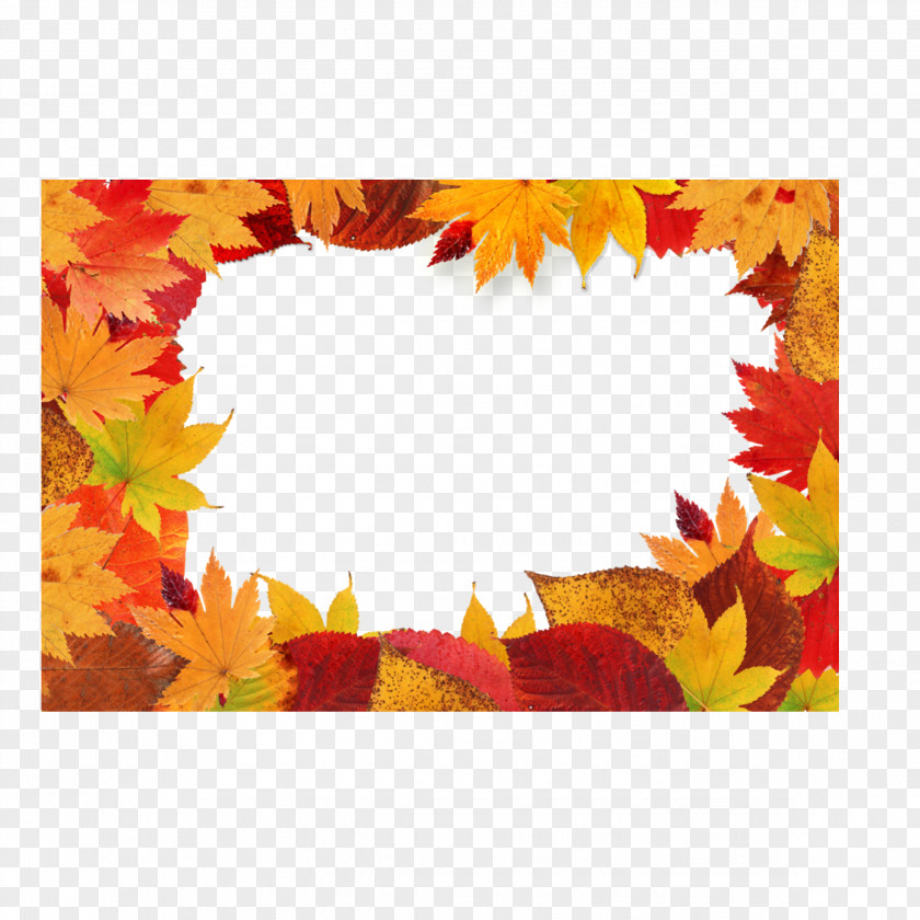 Maple Leaf Autumn Color Clip Art PNG