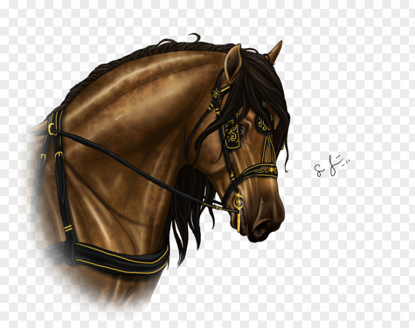 Mustang Bridle Stallion Halter Rein PNG