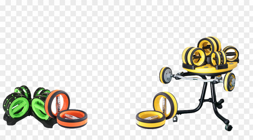 Pictures Of Physical Fitness Dumbbell Weight Training Centre Clip Art PNG