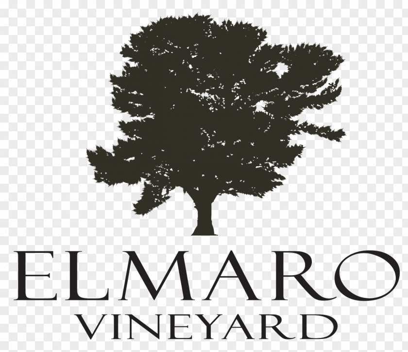 Wine Elmaro Vineyard Common Grape Vine Trempealeau Food PNG