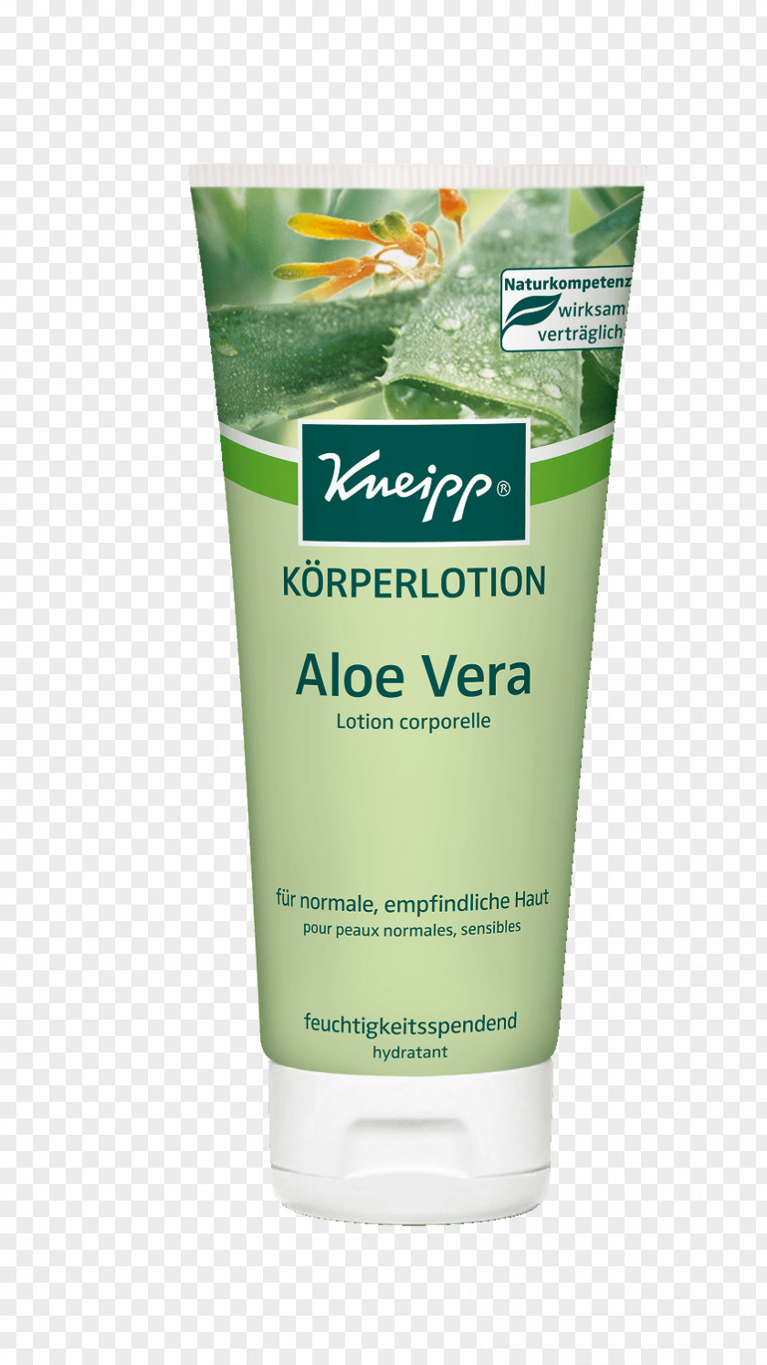 Aloevera Cream Lotion Aloe Vera Skin Shea Butter PNG