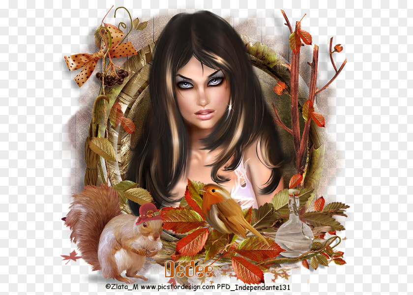 Autumn Wreath，color Brown Hair PNG