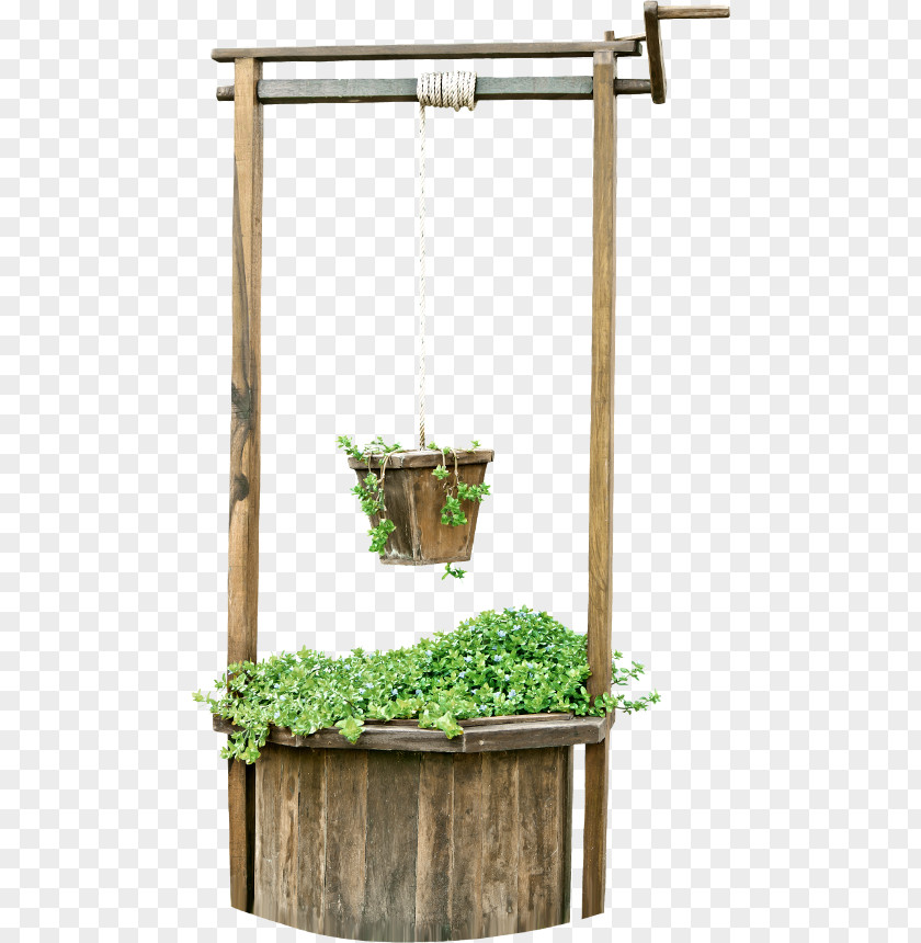 Flowerpot Herb PNG