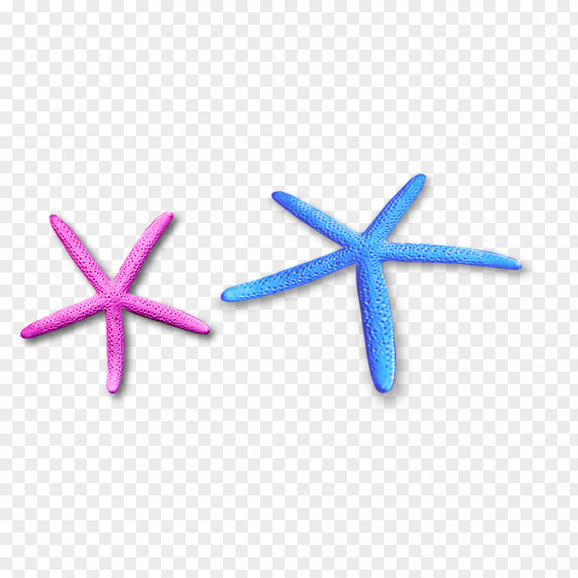 Free Color Starfish Pull Material Seashell Icon PNG