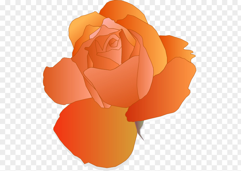 Romantic Rose Vector Blue Flower Orange Clip Art PNG