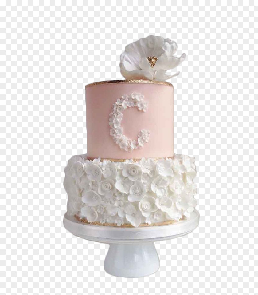 Cake Princess Decorating Birthday Bakery PNG