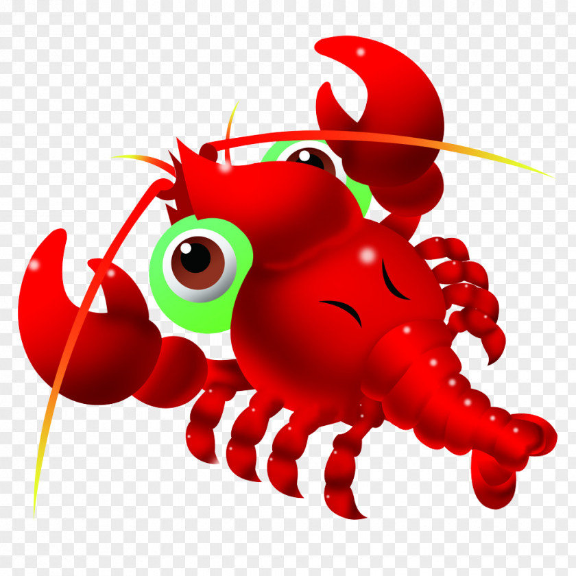 Fresh Lobster Tail Cartoon Clip Art PNG