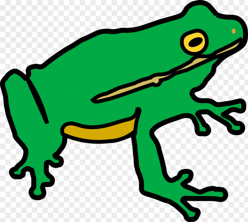 Frog Toad Lithobates Clamitans Public Domain Clip Art PNG