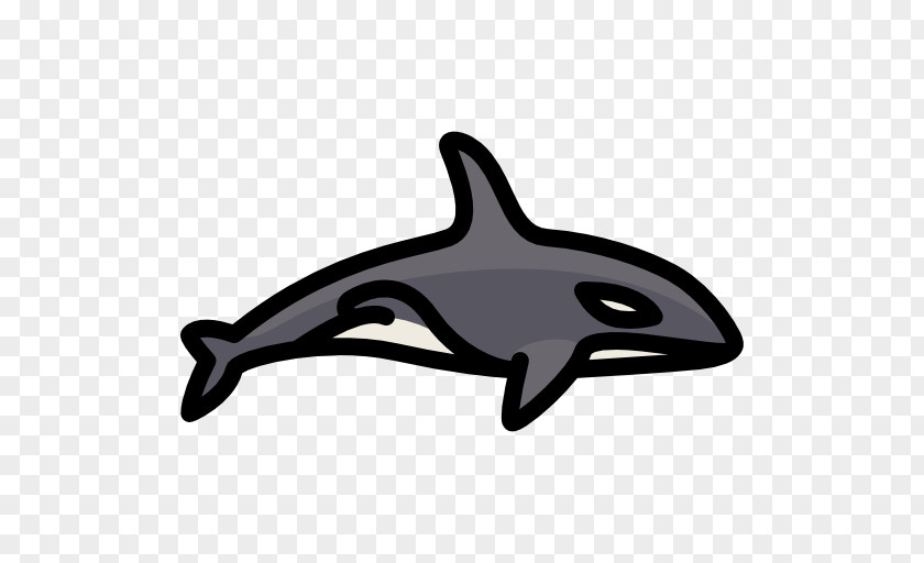 Killer Whale Common Bottlenose Dolphin Porpoise PNG