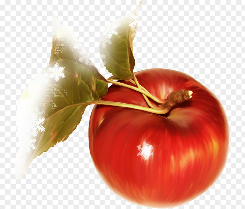 Red Apple Tomato Toast PNG