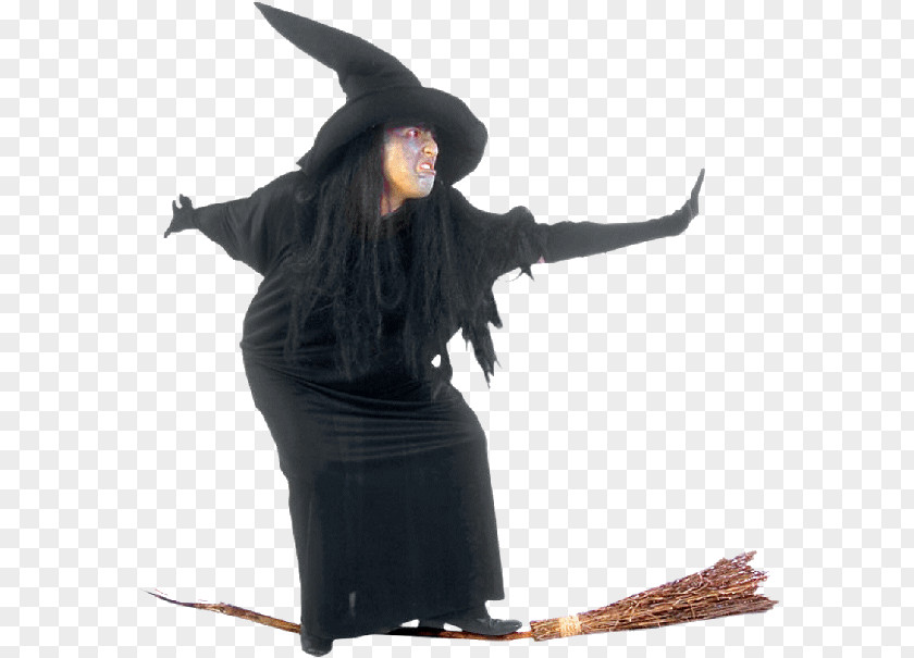 Witch Witchcraft Malleus Maleficarum Wiedźma PNG