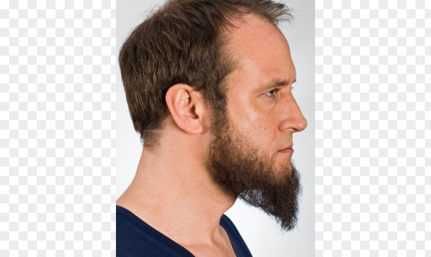 Beards Beard Chin Facial Hair Moustache PNG