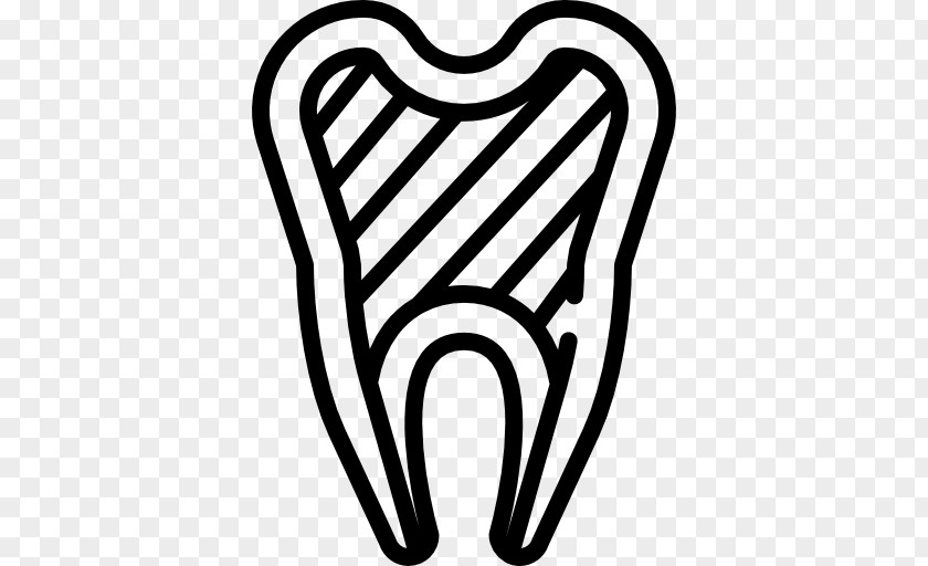 Dentistry Tooth Endodontics Endodontic Therapy PNG