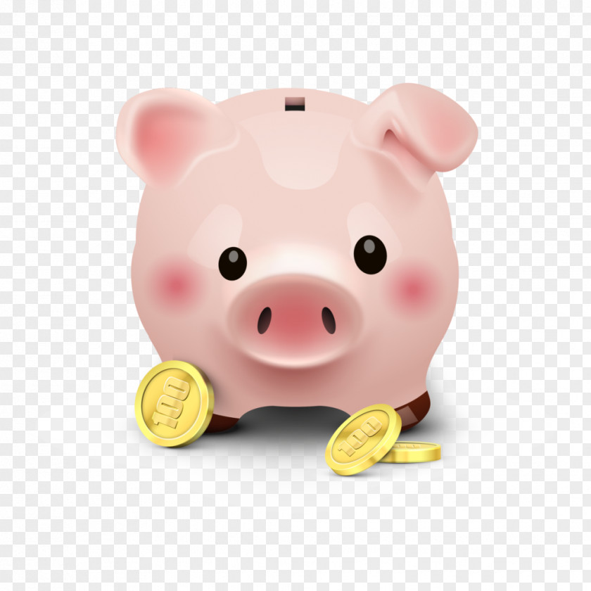 Pig Snout Piggy Bank PNG