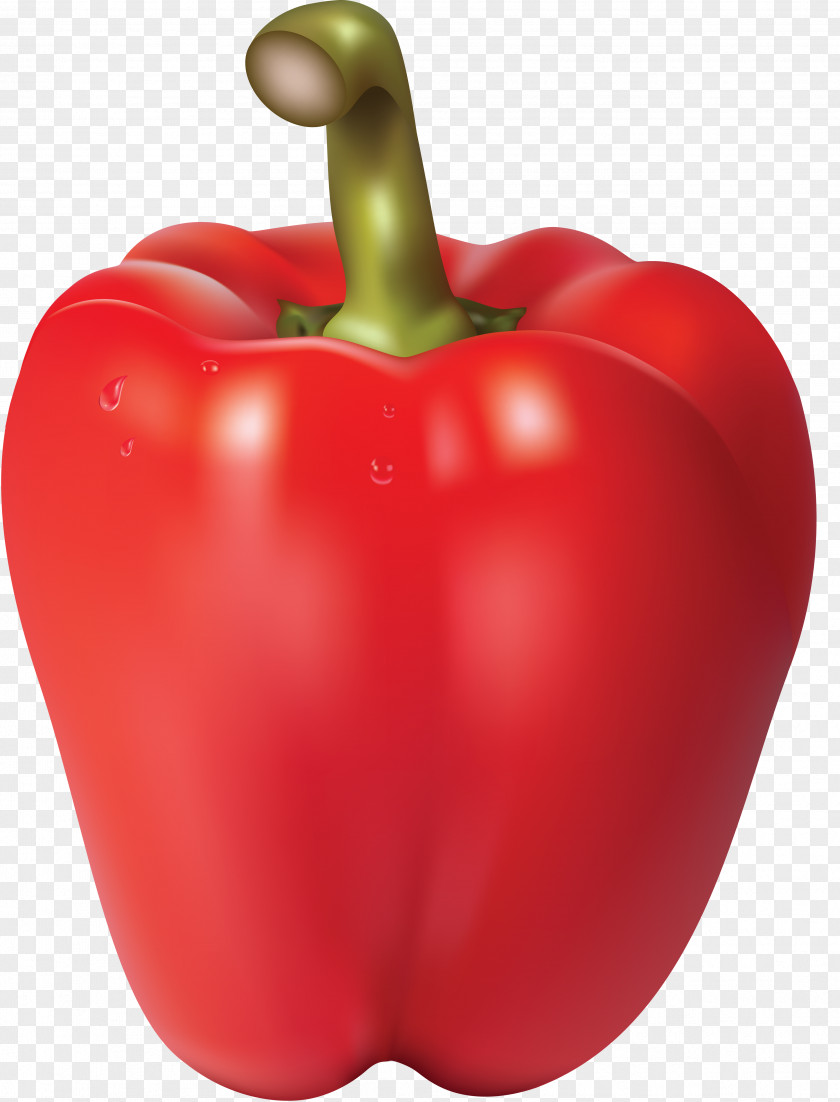 Red Pepper Chili Con Carne Bell Clip Art PNG