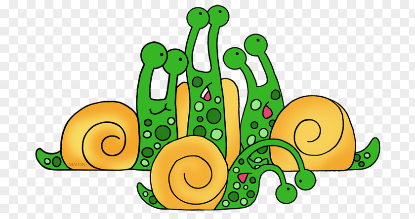 Snails And Slugs Molluscs Snail Cartoon PNG