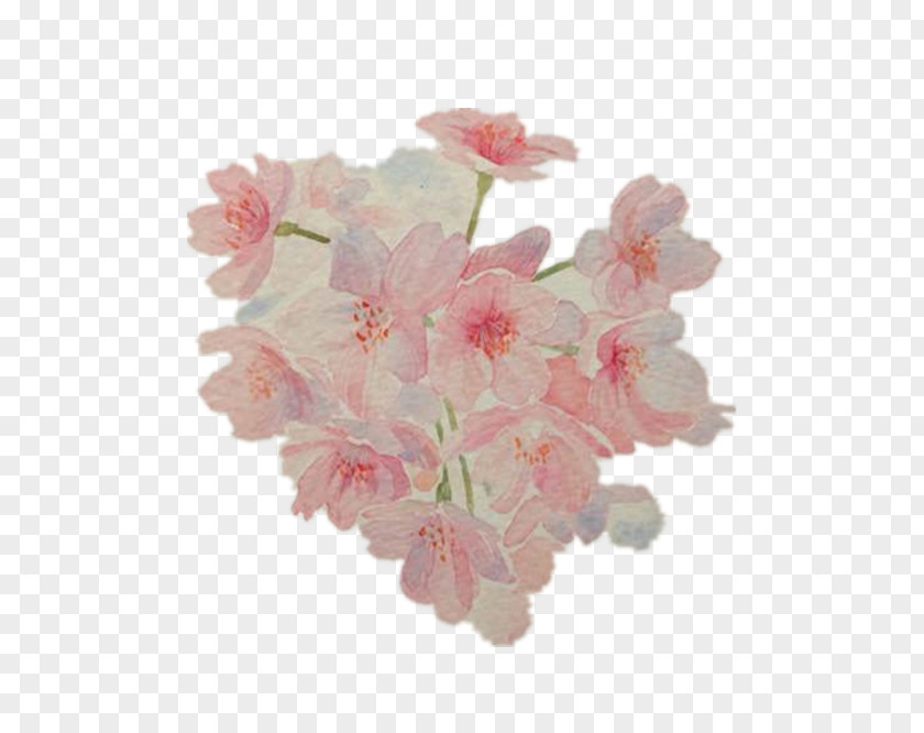 Watercolor Pink Cherry Blossoms Blossom Floral Design PNG
