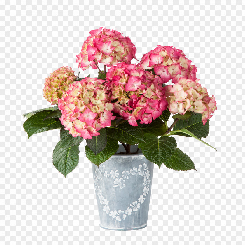 Gift Interflora Norway SA Flower Bouquet PNG