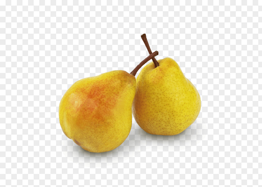 Pear Email Mango Gift PNG