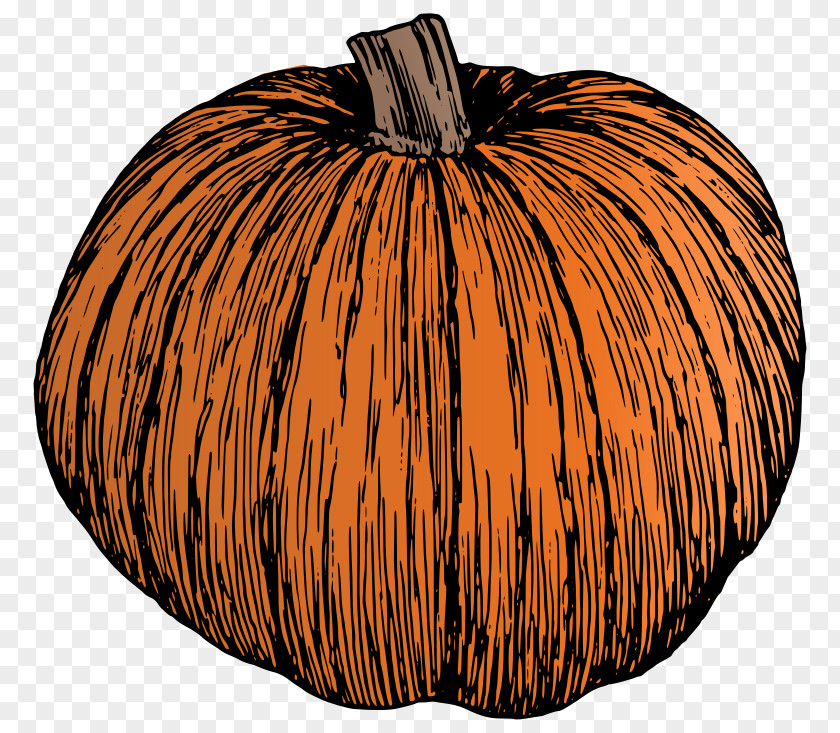 Pumpkin Clip Art Vector Graphics Drawing Openclipart PNG