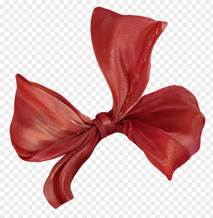 Silk Bow Ribbon PNG