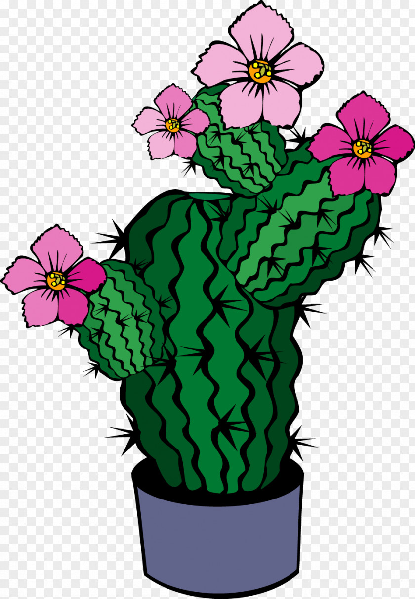 Vector Painted Flowering Cactus Cactaceae Drawing Flower Clip Art PNG
