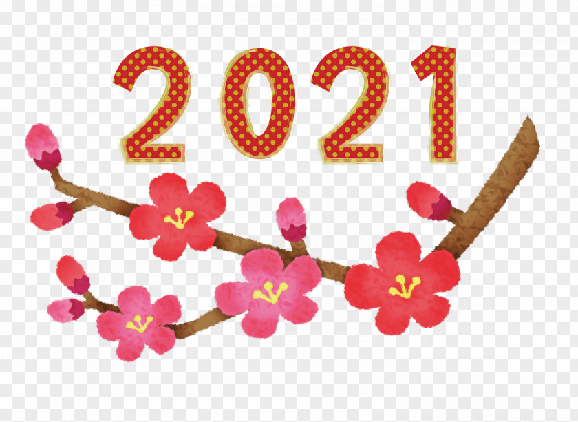 2021 Happy New Year PNG