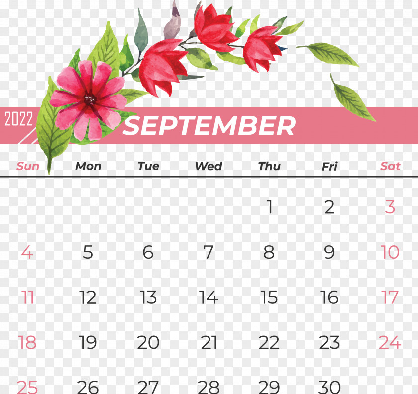 Calendar Flower Icon Solar Calendar Petal PNG
