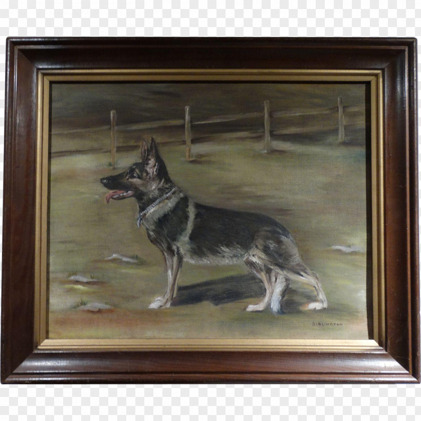 Dog Breed Painting Picture Frames PNG