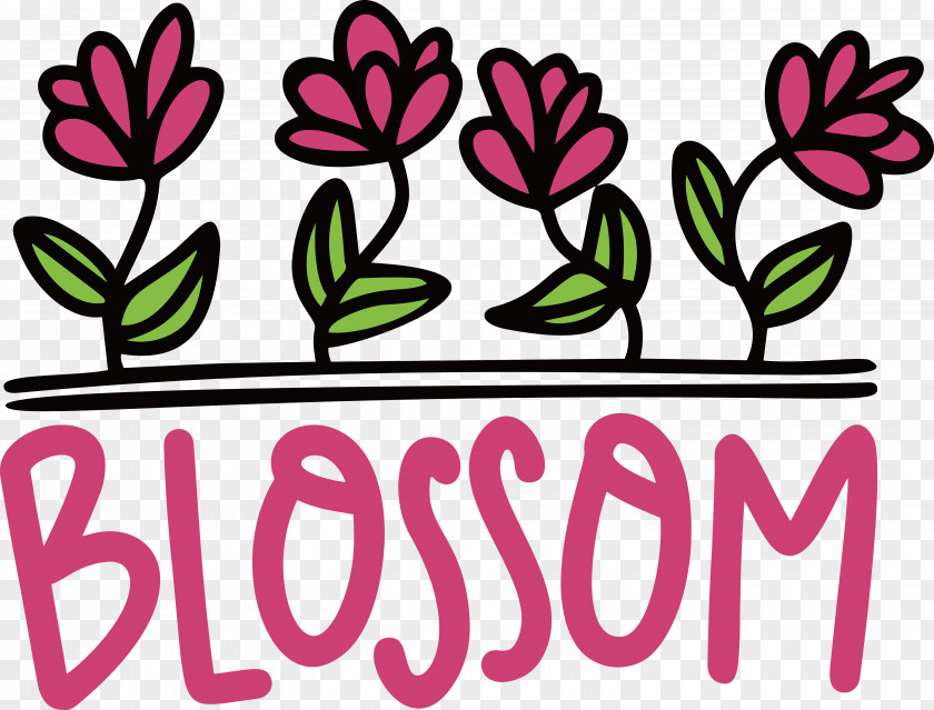 Floral Design PNG