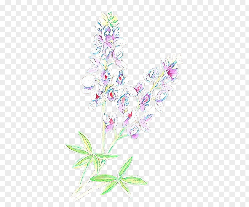 Flower Plant Pink Pedicel Delphinium PNG